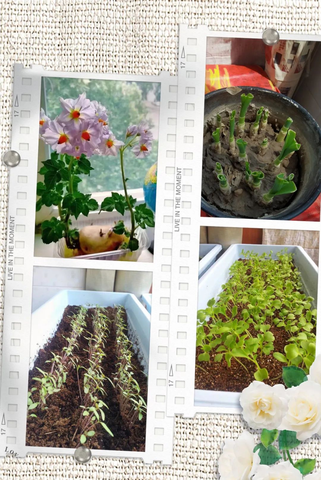 110903358.jpg 微信图片_20220512110851.jpg